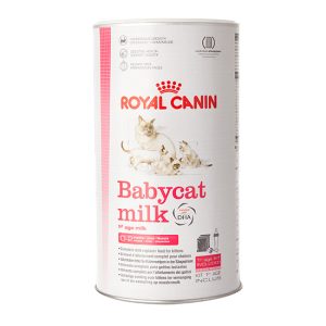 תחליף חלב לגורי חתולים רויאל קנין