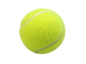 כדור טניס לכלב