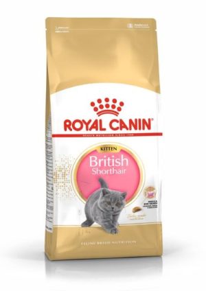 רויאל קנין קיטן מזון לחתלתול בריטי